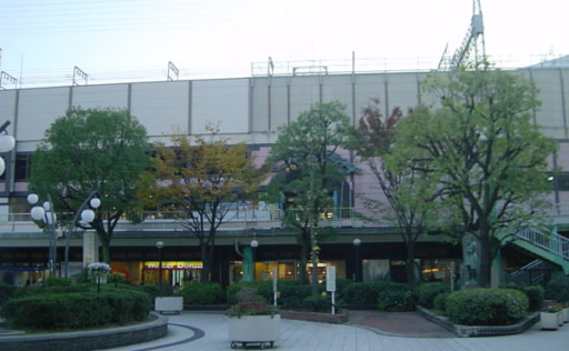 大型樹木（１）作業後