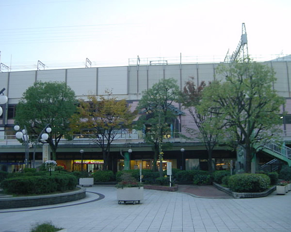 大型樹木（１）作業後