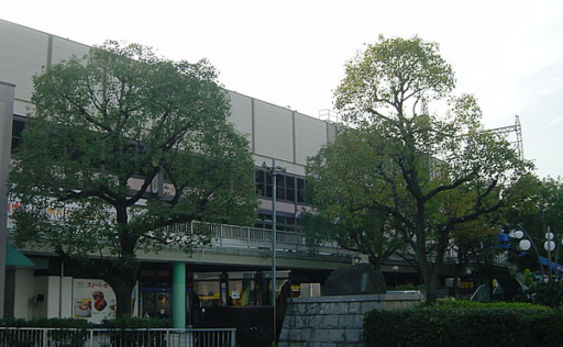 大型樹木（２）作業後