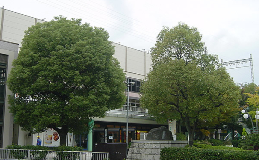 大型樹木（２）作業前